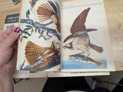 The bird book a picture album of American birds by Leon Augustus hausman special fawcett How to book 1955