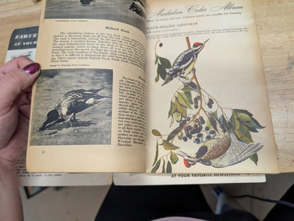 The bird book a picture album of American birds by Leon Augustus hausman special fawcett How to book 1955