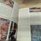 Africa the golden book picture Atlas of the world book 3- 1960 vintage geography, African geography