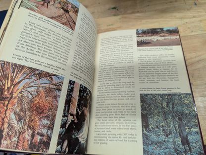 Africa the golden book picture Atlas of the world book 3- 1960 vintage geography, African geography