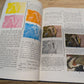 Understanding the universe. Franklin b. Carroll 1952 vintage science textbook