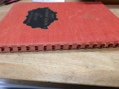 Outdoor life's gallery of North American game 1946 vintage coffee table book