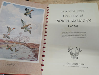 Outdoor life's gallery of North American game 1946 vintage coffee table book