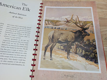 Outdoor life's gallery of North American game 1946 vintage coffee table book