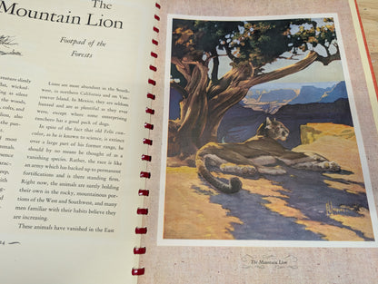 Outdoor life's gallery of North American game 1946 vintage coffee table book