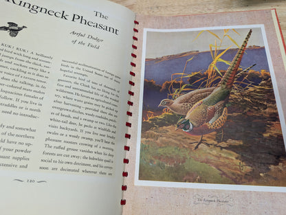 Outdoor life's gallery of North American game 1946 vintage coffee table book