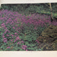 *SIGNED* Oregon images 1991 Jerry V. Hunt Terence O'Donnell Robin rickabaugh signed 1522/2000