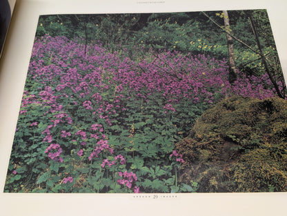 *SIGNED* Oregon images 1991 Jerry V. Hunt Terence O'Donnell Robin rickabaugh signed 1522/2000