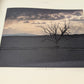 *SIGNED* Oregon images 1991 Jerry V. Hunt Terence O'Donnell Robin rickabaugh signed 1522/2000