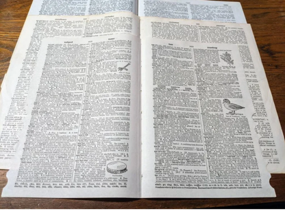 50+ dictionary pages for collage, junk journals, art journal, mixed media. Variety of pages from numerous books