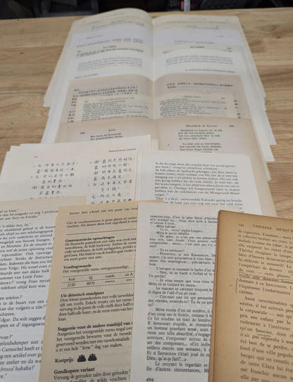 30 Piece Foreign Text Pages - Multi pack, Asian text, French/Dutch mix