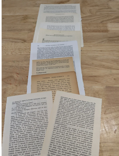 30 Piece Foreign Text Pages - Multi pack, Asian text, French/Dutch mix