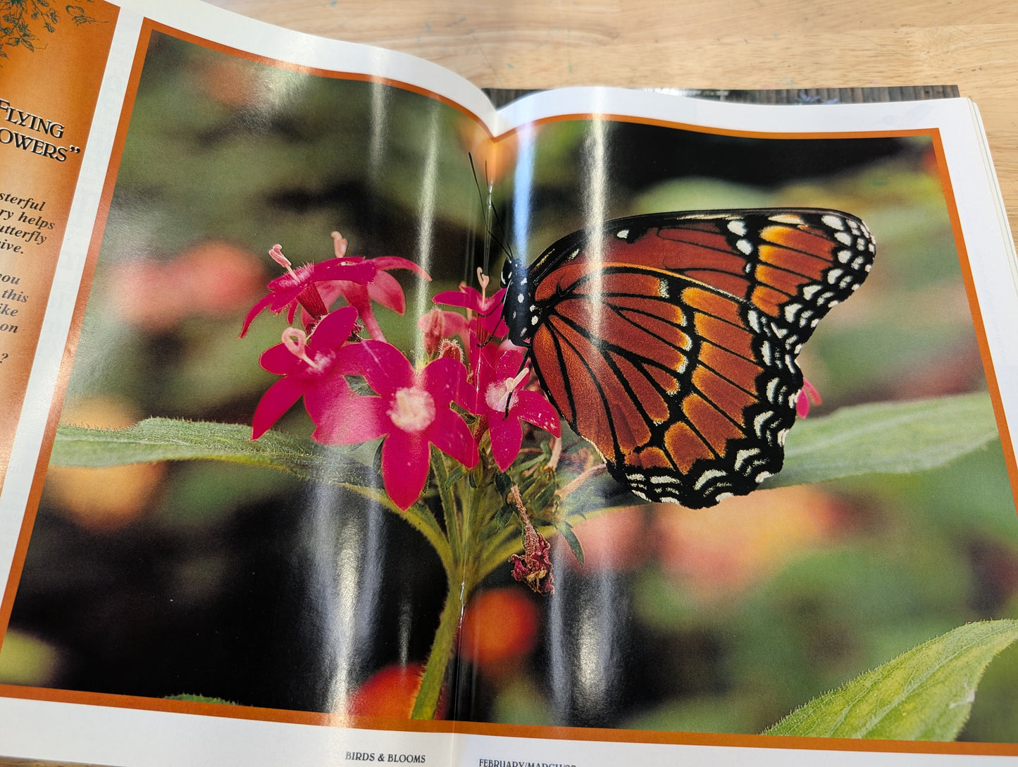 1997 birds and blooms magazine. Lot of six