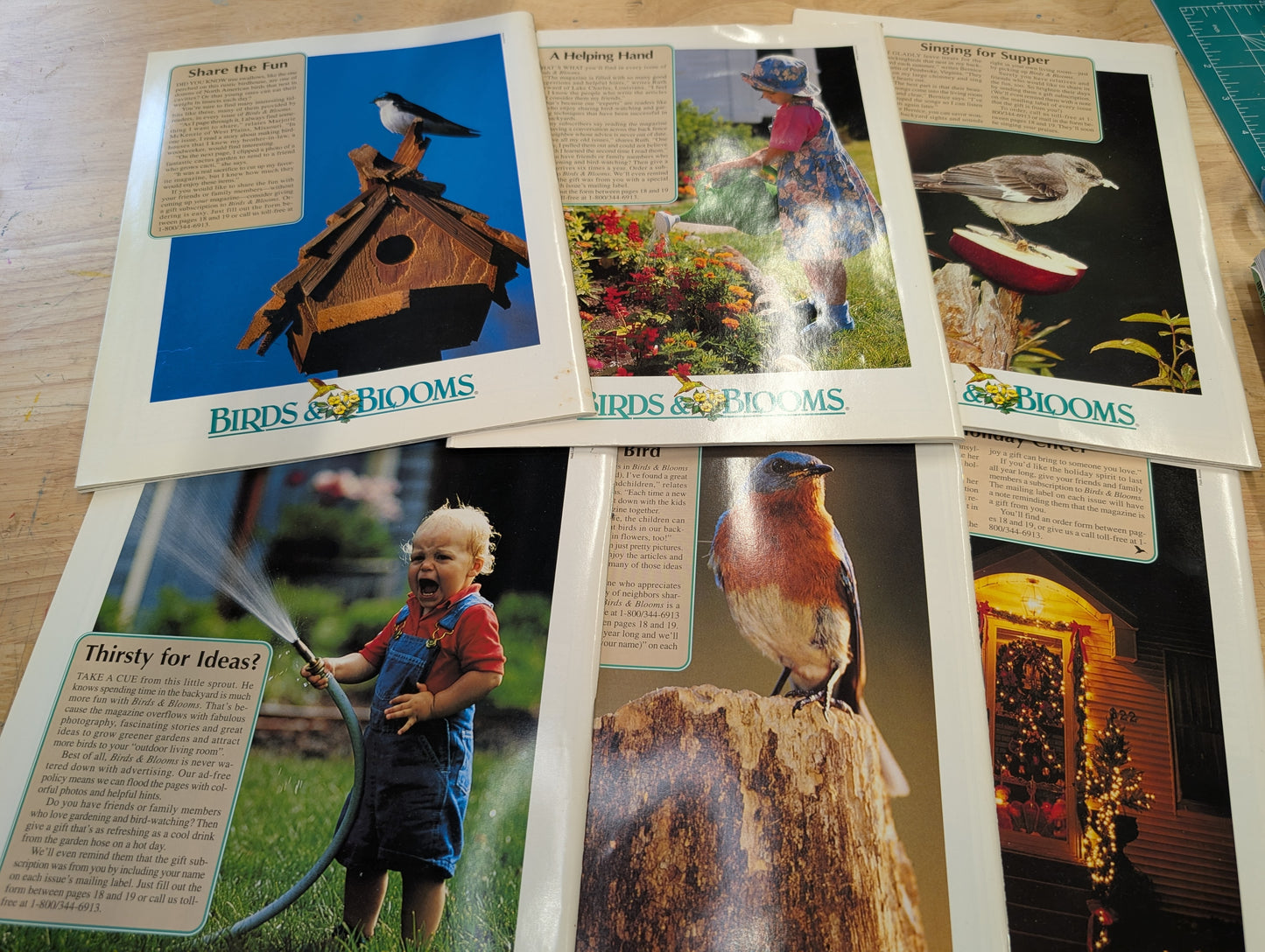 1997 birds and blooms magazine. Lot of six