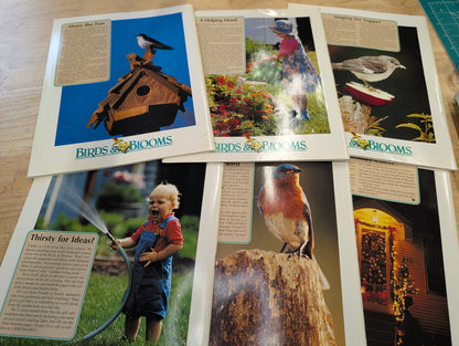 1997 birds and blooms magazine. Lot of six