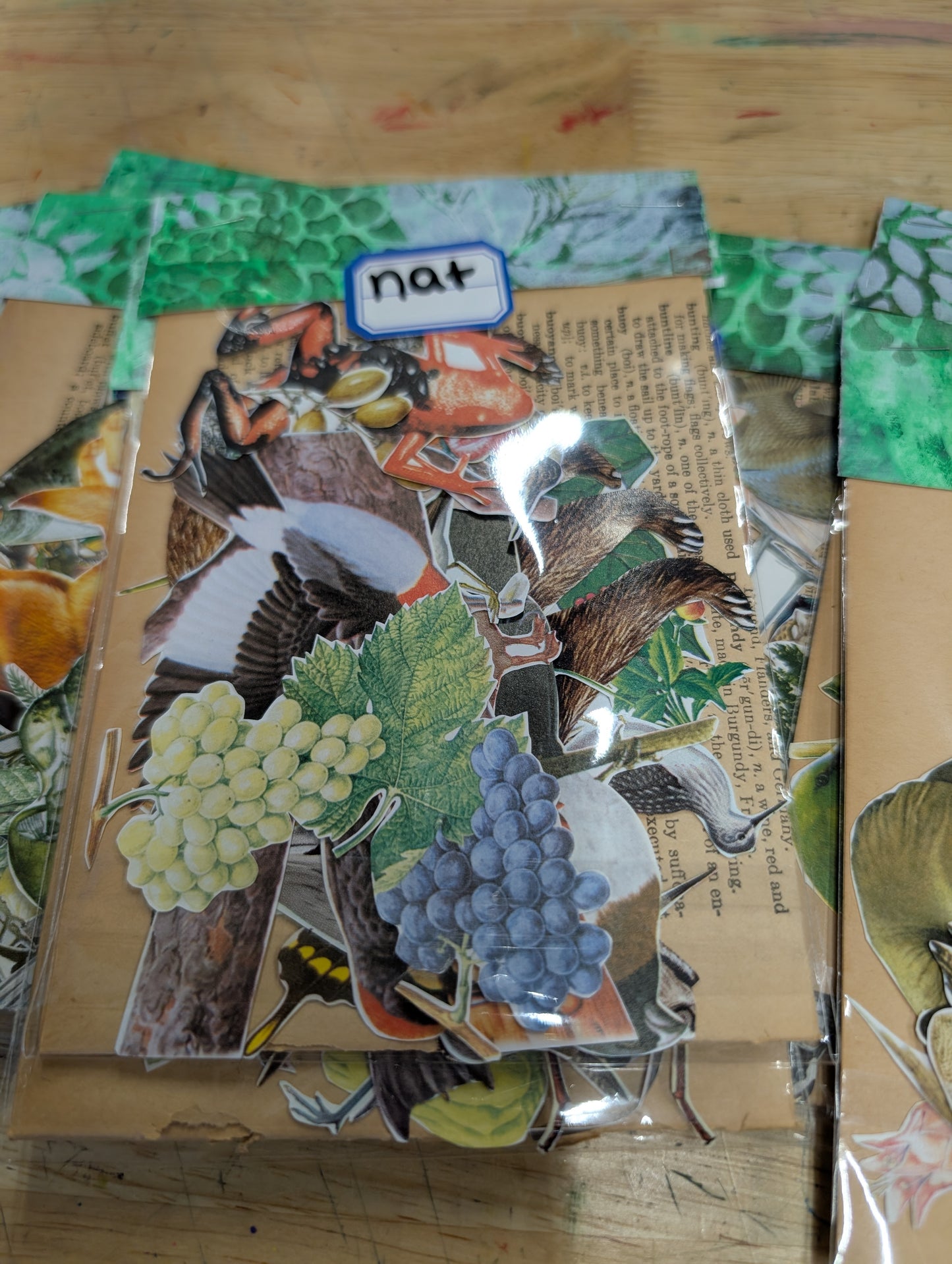 Fussy cuts galore! Nature Images for Junk Journals, Collage, Mixed Media, Paper Crafts FREE SHIPPING