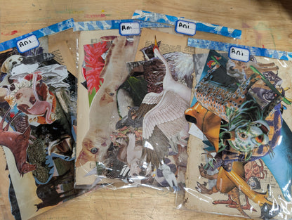 Fussy cuts galore! Animal Fussy Cuts for Collage, Mixed Media, Junk Journals FREE SHIPPING