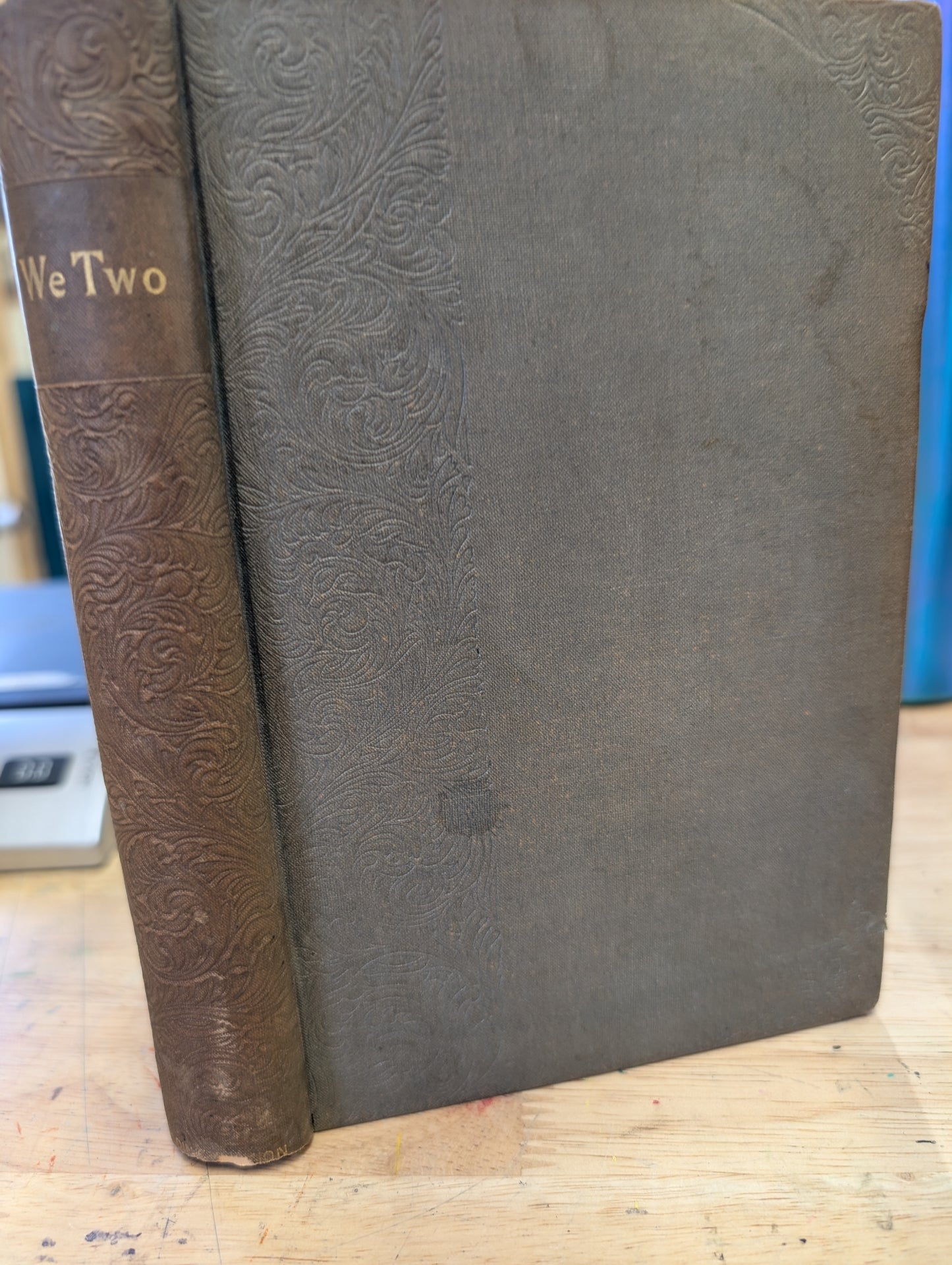We two by Edna Lyall antique novel with embossed cover