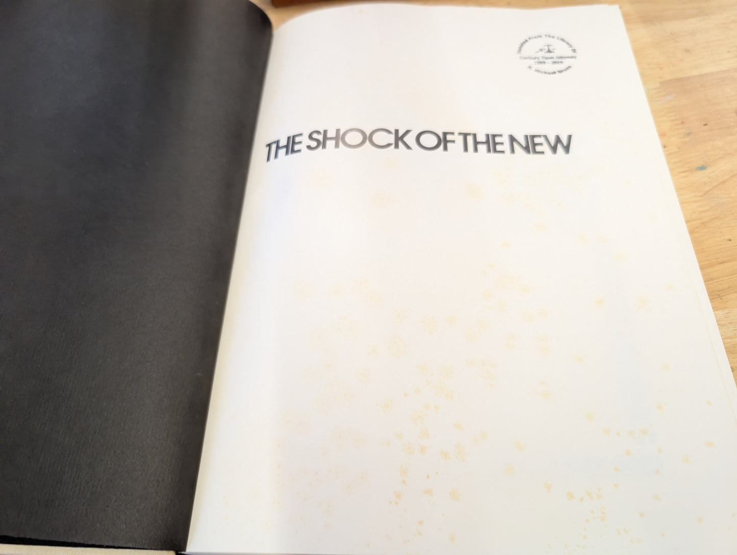 The shock of the new Robert Hughes Alfred a knopf 1981 vintage art book with great images