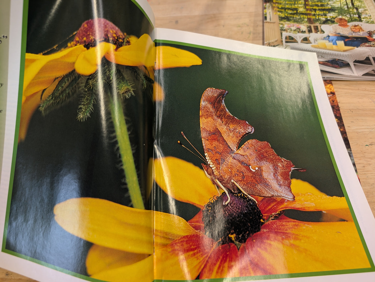 1997 birds and blooms magazine. Lot of six