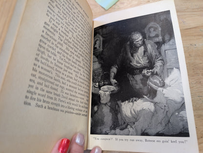 The flaming Forest by James Oliver curwood 1921 Three River country trilogy