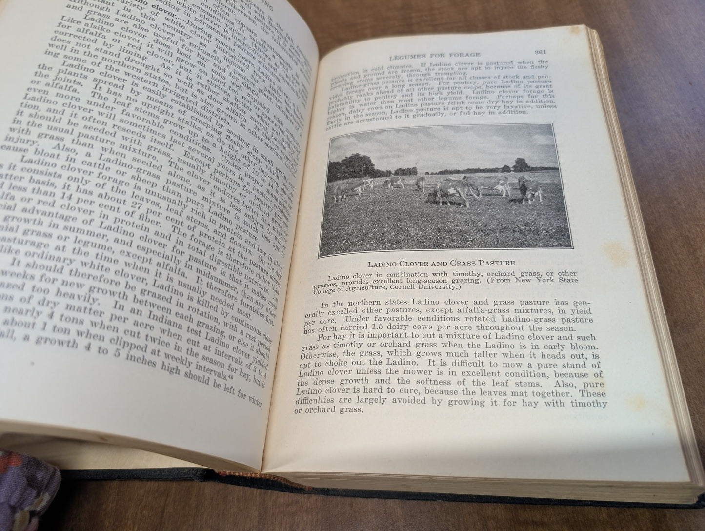 Feeds and feeding a handbook for the student and stockman by Frank b. Morrison 21st edition 50th anniversary 1948