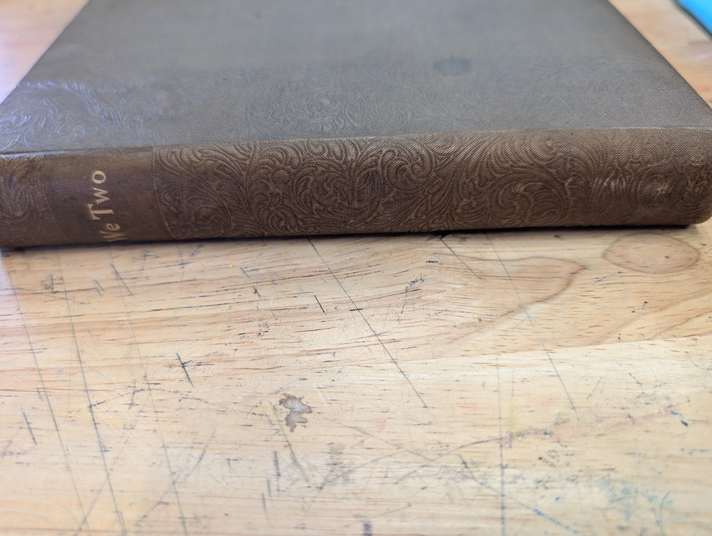 We two by Edna Lyall antique novel with embossed cover