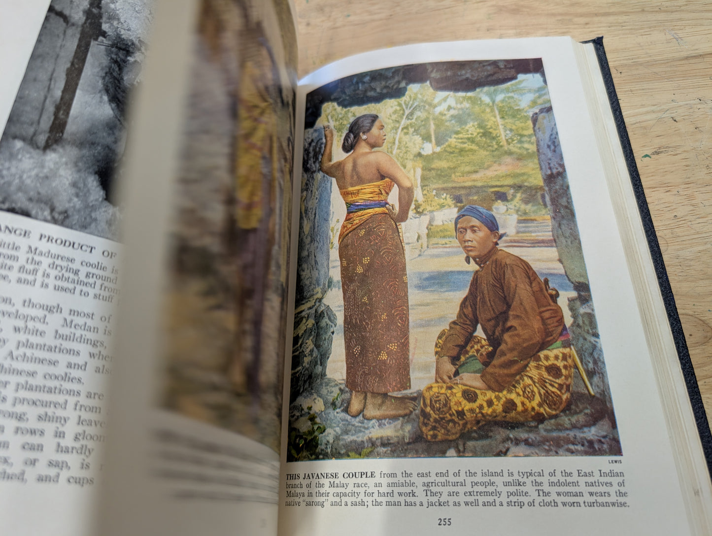 Lot of two lands in people's books 1951 volume V and VII