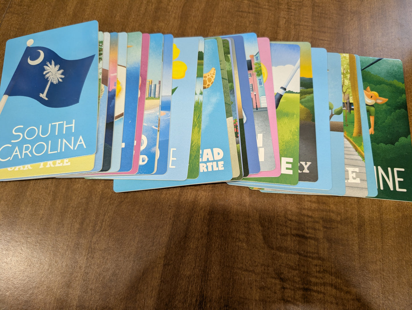 All about South Carolina ABCs of the palmetto State 27 chunky and unique flashcards
