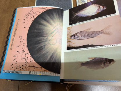 Midnight Journal - a dark color themed junk journal with ephemera