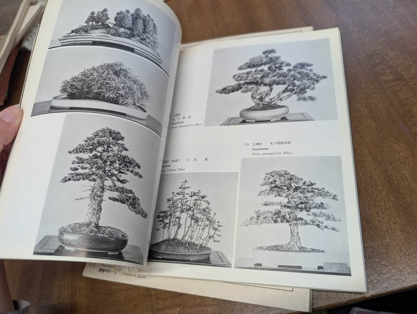 Vintage Japanese bonsai book and magazine 1964 1972, Tokyo Olympic edition