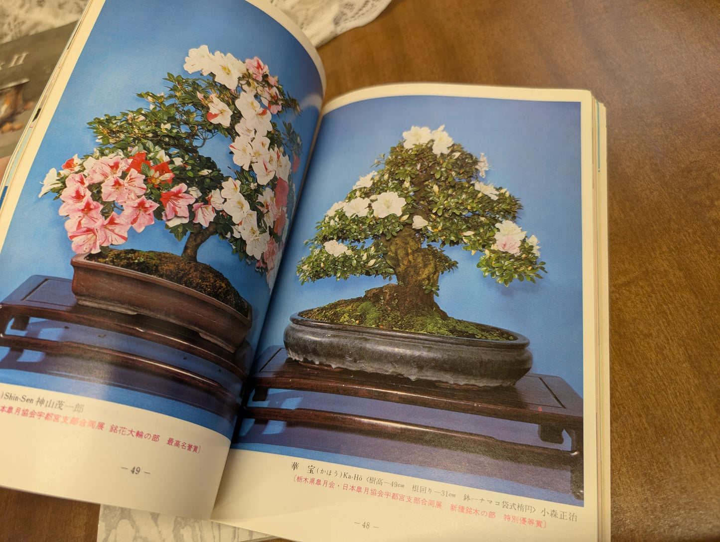 Vintage Japanese bonsai book and magazine 1964 1972, Tokyo Olympic edition