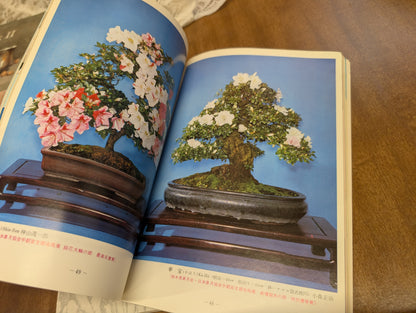 Vintage Japanese bonsai book and magazine 1964 1972, Tokyo Olympic edition