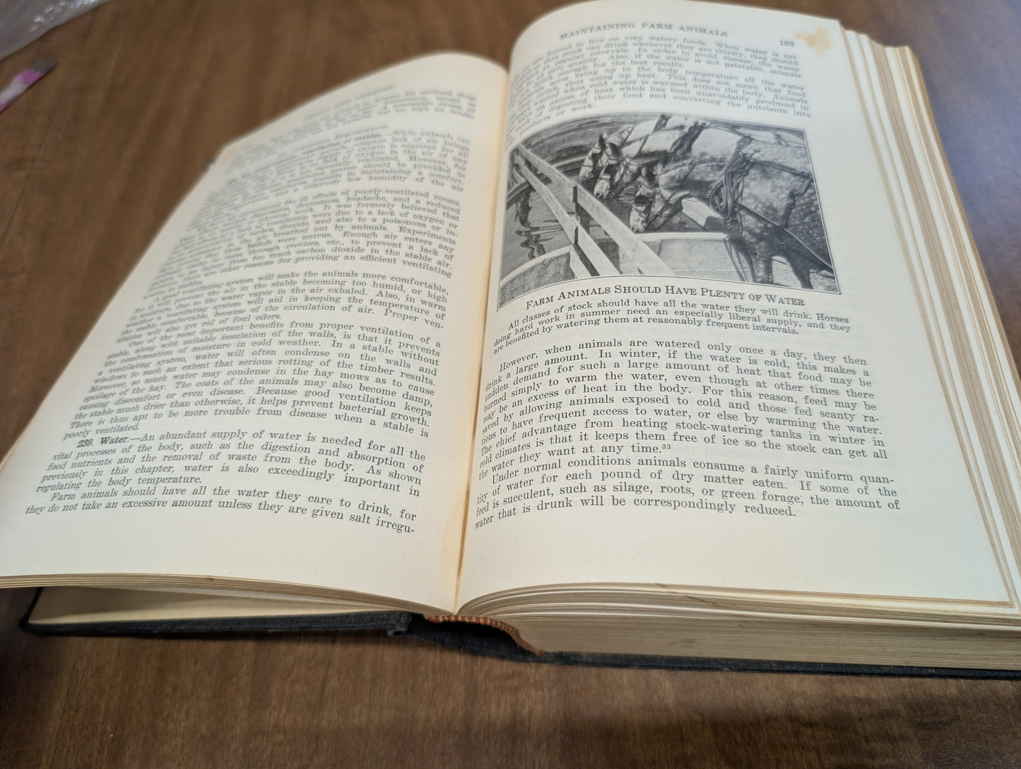 Feeds and feeding a handbook for the student and stockman by Frank b. Morrison 21st edition 50th anniversary 1948