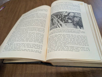 Feeds and feeding a handbook for the student and stockman by Frank b. Morrison 21st edition 50th anniversary 1948