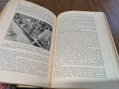Feeds and feeding a handbook for the student and stockman by Frank b. Morrison 21st edition 50th anniversary 1948