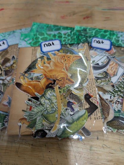 Fussy cuts galore! Nature Images for Junk Journals, Collage, Mixed Media, Paper Crafts FREE SHIPPING