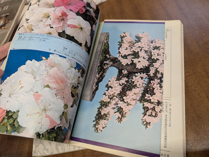 Vintage Japanese bonsai book and magazine 1964 1972, Tokyo Olympic edition
