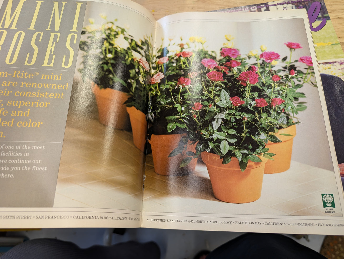 Two super floral magazines December 98 April 99