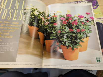 Two super floral magazines December 98 April 99
