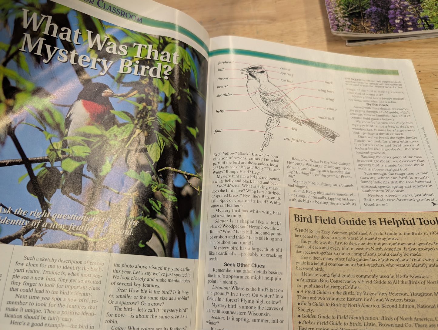 1997 birds and blooms magazine. Lot of six