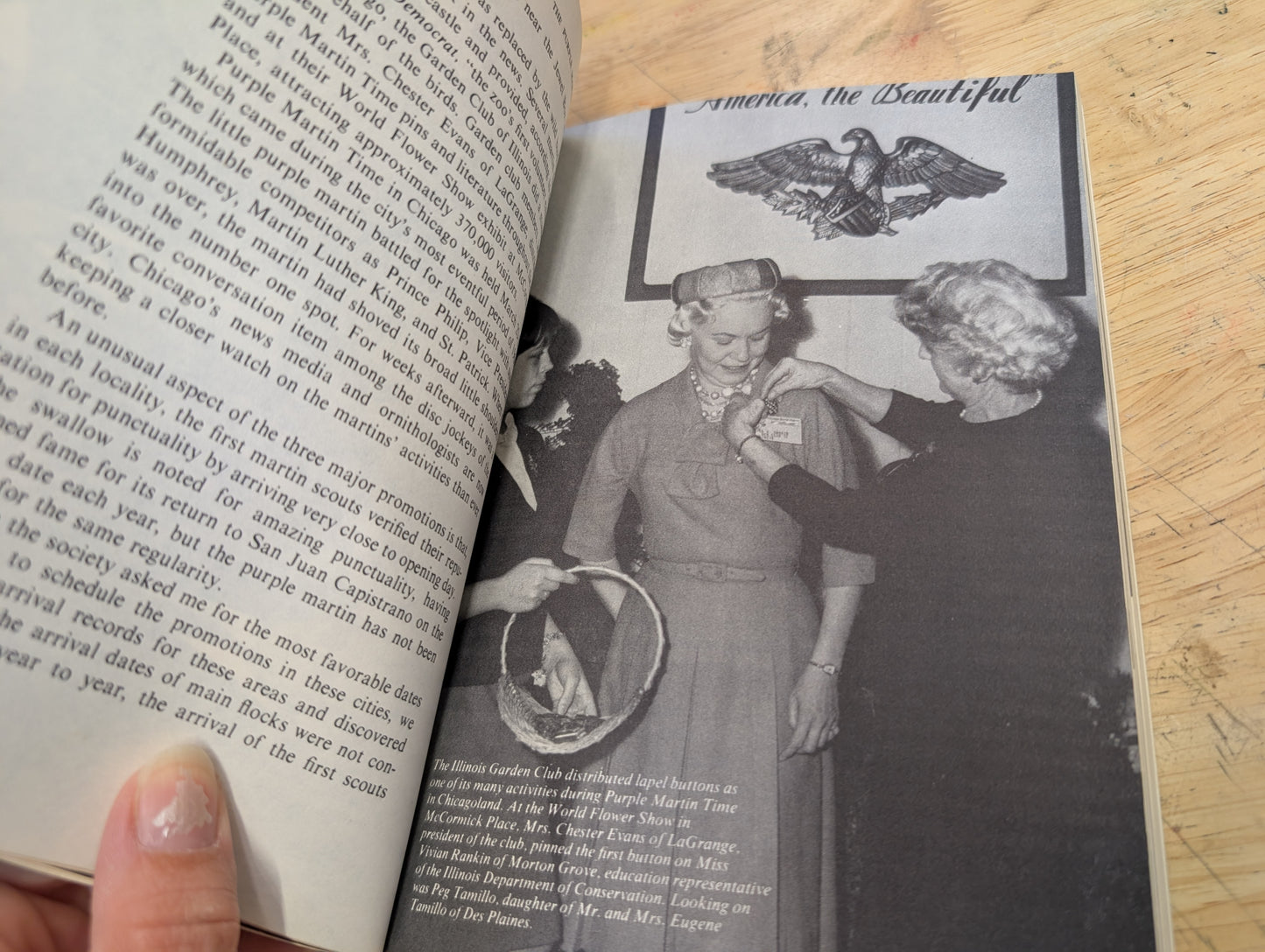 What you should know about the purple Martin by JL. Wade America's most wanted Bird 1971 third printing
