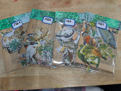 Fussy cuts galore! Nature Images for Junk Journals, Collage, Mixed Media, Paper Crafts FREE SHIPPING