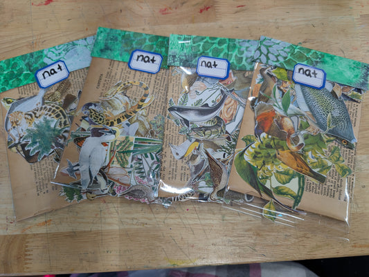 Fussy cuts galore! Nature Images for Junk Journals, Collage, Mixed Media, Paper Crafts FREE SHIPPING