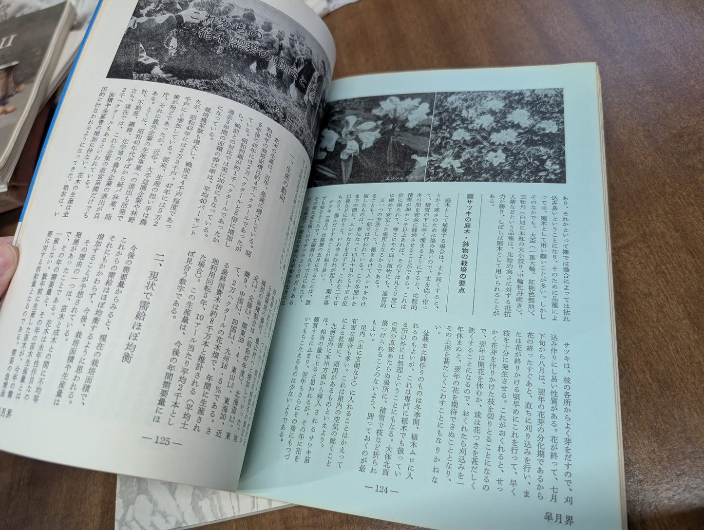 Vintage Japanese bonsai book and magazine 1964 1972, Tokyo Olympic edition