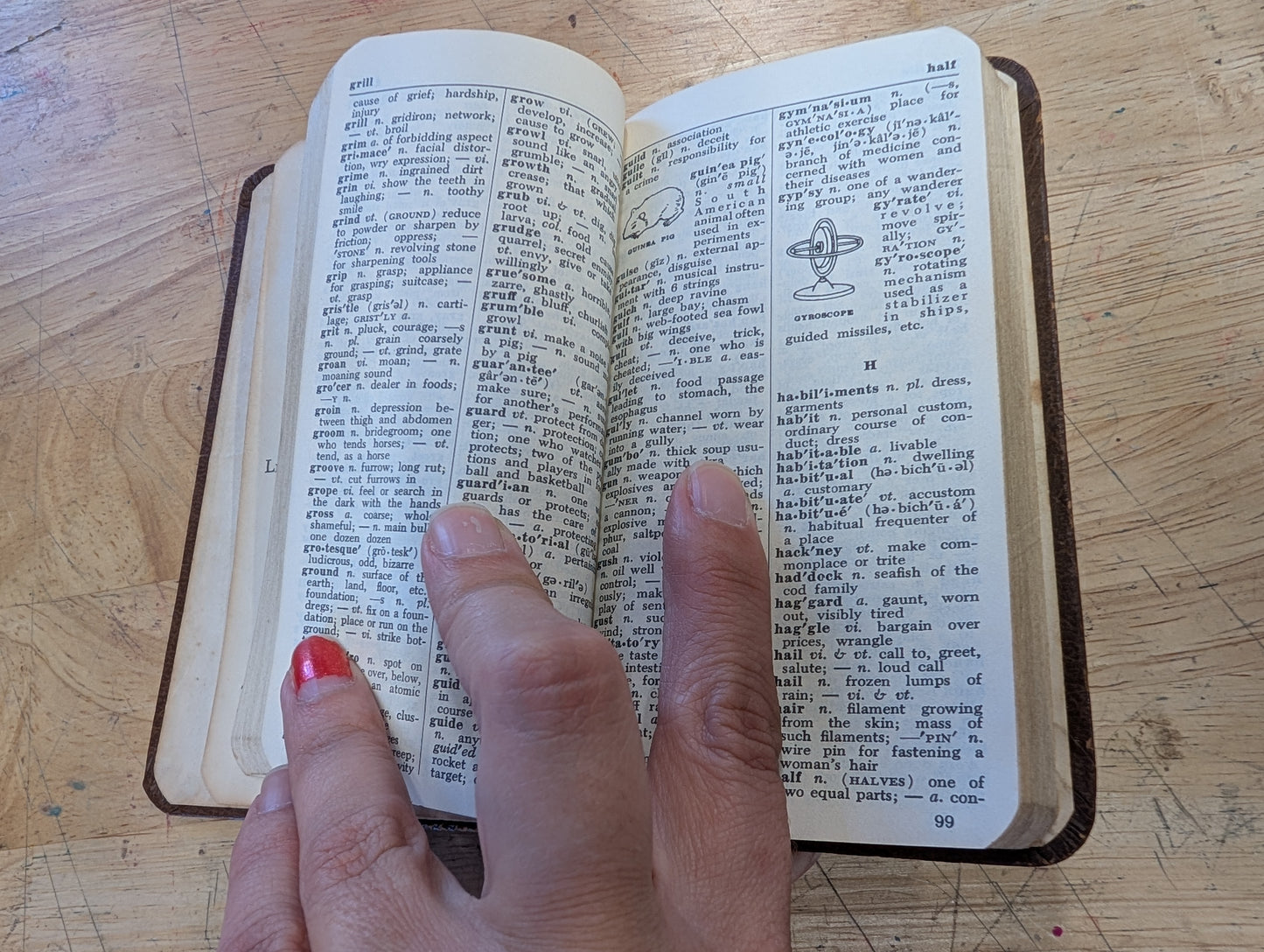 New compact Webster dictionary 1965