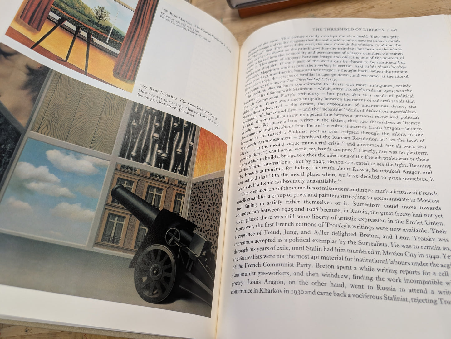 The shock of the new Robert Hughes Alfred a knopf 1981 vintage art book with great images