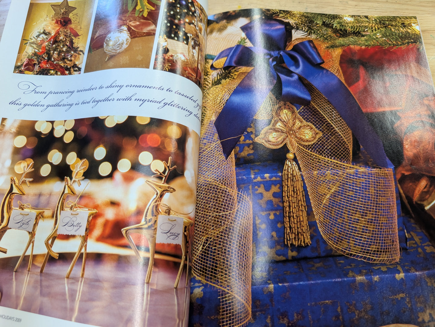 Southern Lady Magazine Holidays 2009 Special Collectors Issue