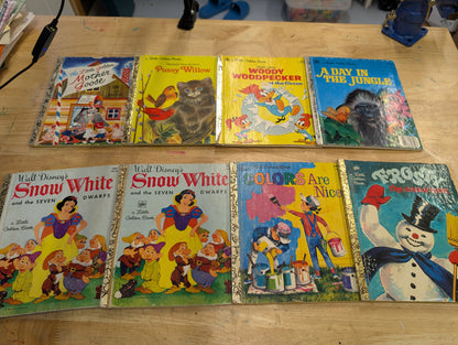 Little Golden Book Mystery Kits! Choose your Book