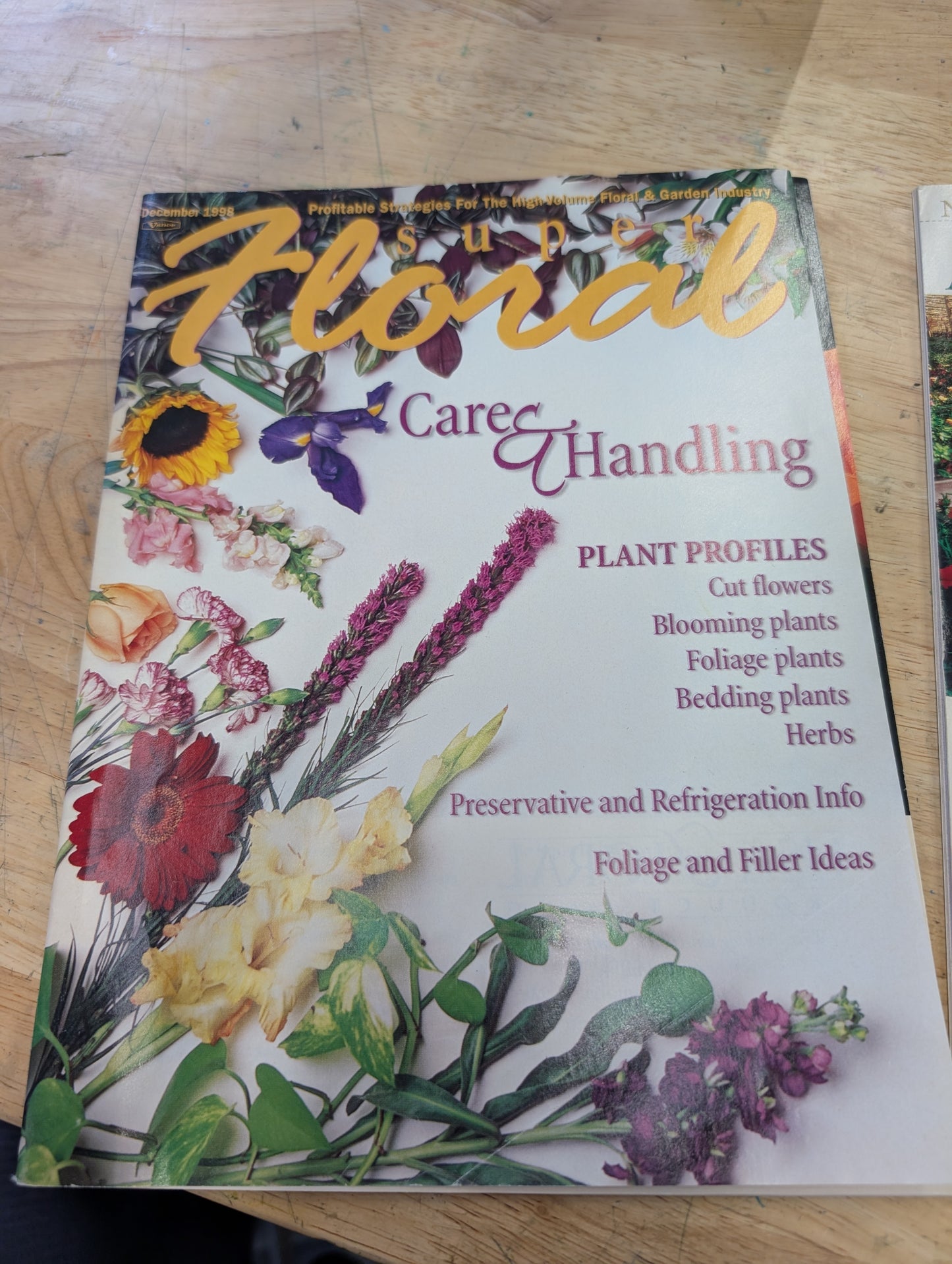 Two super floral magazines December 98 April 99